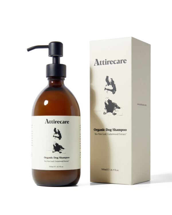 286299_Sebastian_Collinge1611 (1) 286299_Sebastian_Collinge1611 (1)