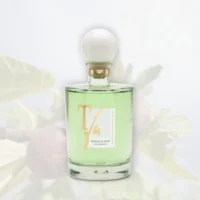 foglie di fico_difuzer 500ml_teatro_01_WebP