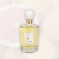 pompelmo pepe_difuzer 500ml_teatro_01_WebP